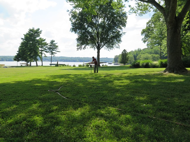 lake lemon, bloomington, in, phc, root injections, dhs enhanced compost tea, tree care, tree service, acer saccharinum