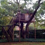 tree house, residential